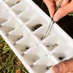 NASA'S MICHIGAN SPACE GRANT CONSORTIUM FELLOWSHIP OPPORTUNITIES